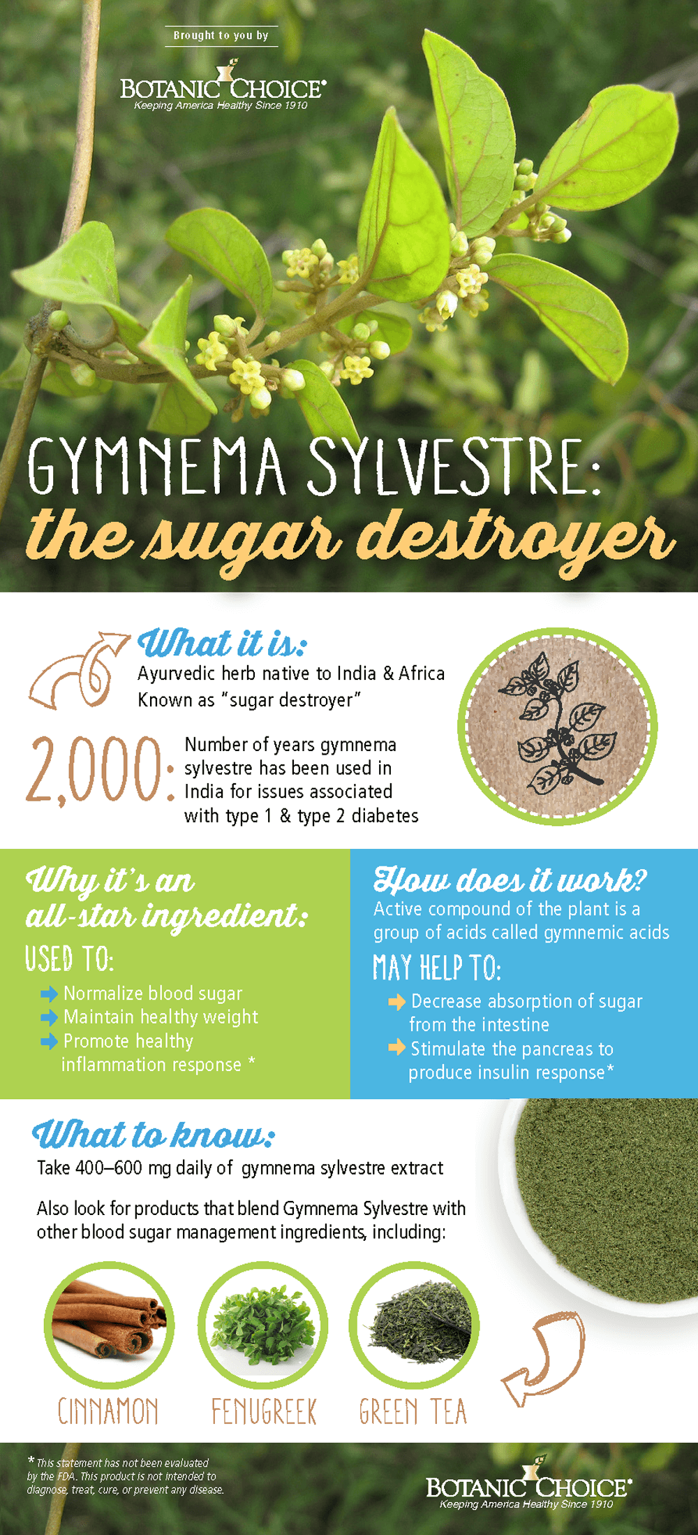 gymnema sylvestre: the sugar destroyer. What it is, why it's an all-star ingredient, how does it work, and what to know.
