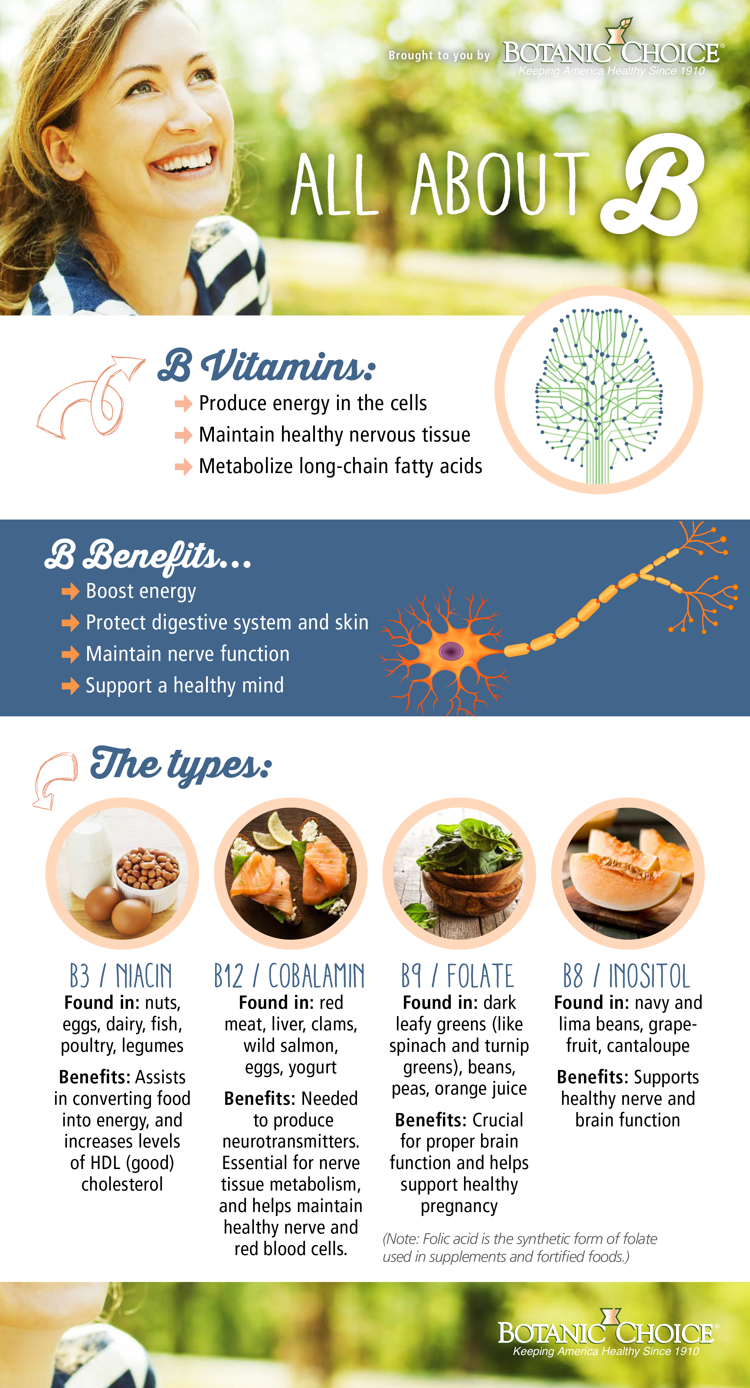 all about b vitamins b3, b12, b9, b8