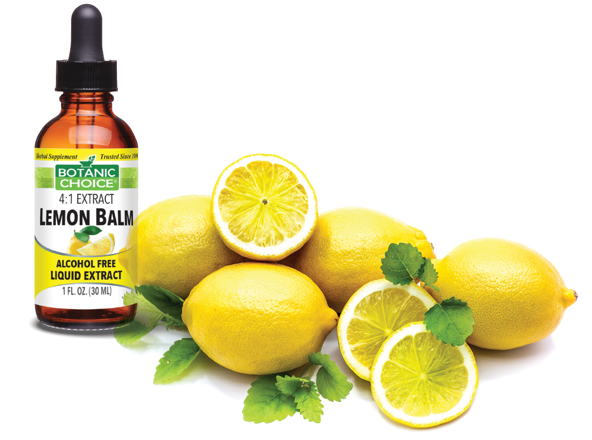 lemon balm with lemons